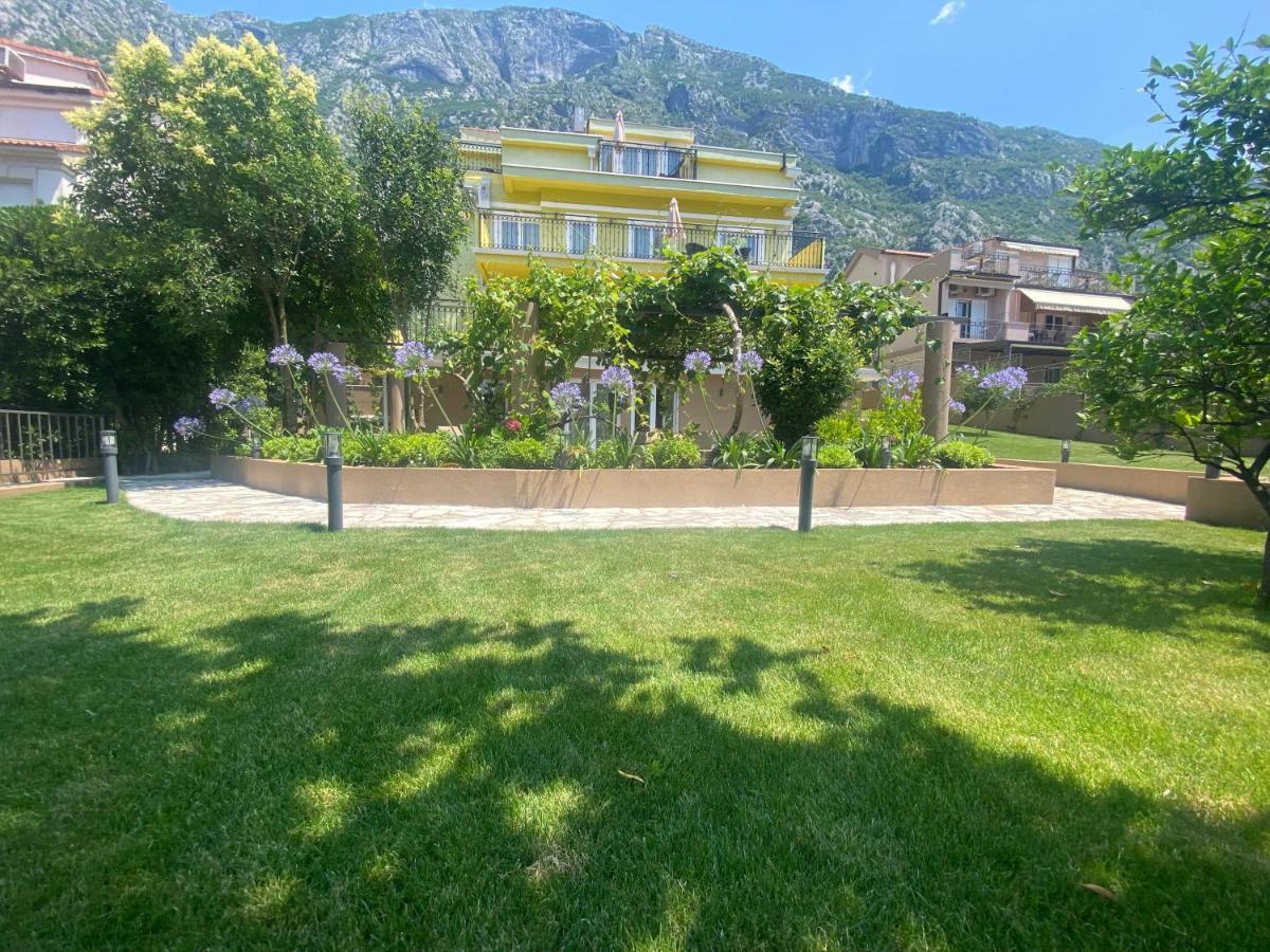 2Montenegro Mimoza Apartments دوبروتا المظهر الخارجي الصورة