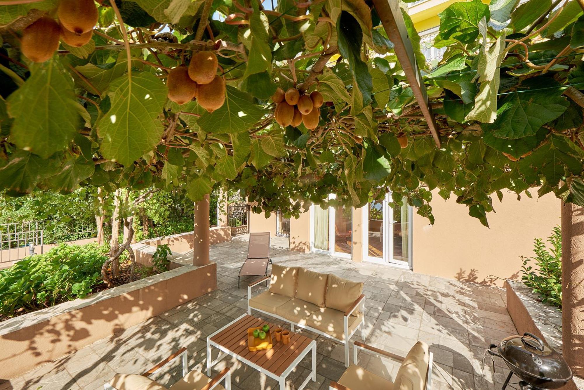 2Montenegro Mimoza Apartments دوبروتا المظهر الخارجي الصورة